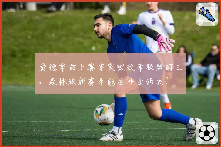 爱德华兹上赛季突破效率联盟前三，森林狼新赛季能否冲击西决？