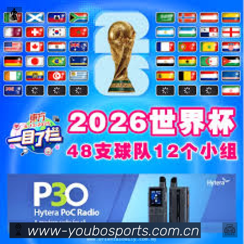 安全使用与支持流程